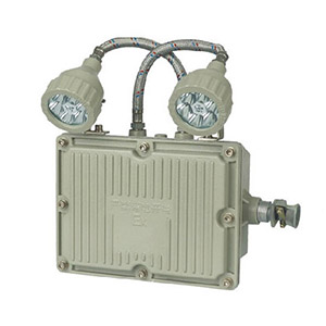 BAJ52防爆应急灯