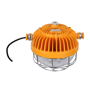 DGS45-127L（a）矿用隔爆型LED巷道灯