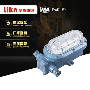 矿用隔爆型LED支架灯