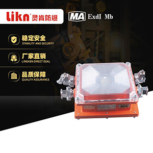 矿用隔爆兼本安型LED支架灯