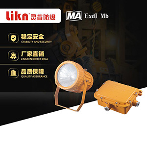 矿用隔爆型LED投光灯